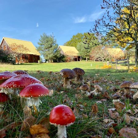 Chalets De L Empereur ユセル エクステリア 写真