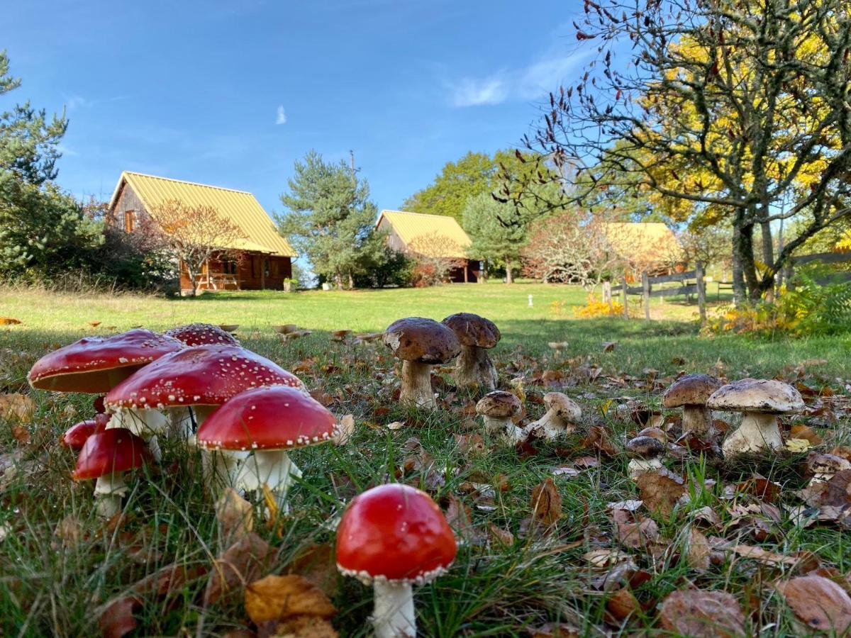 Chalets De L Empereur ユセル エクステリア 写真